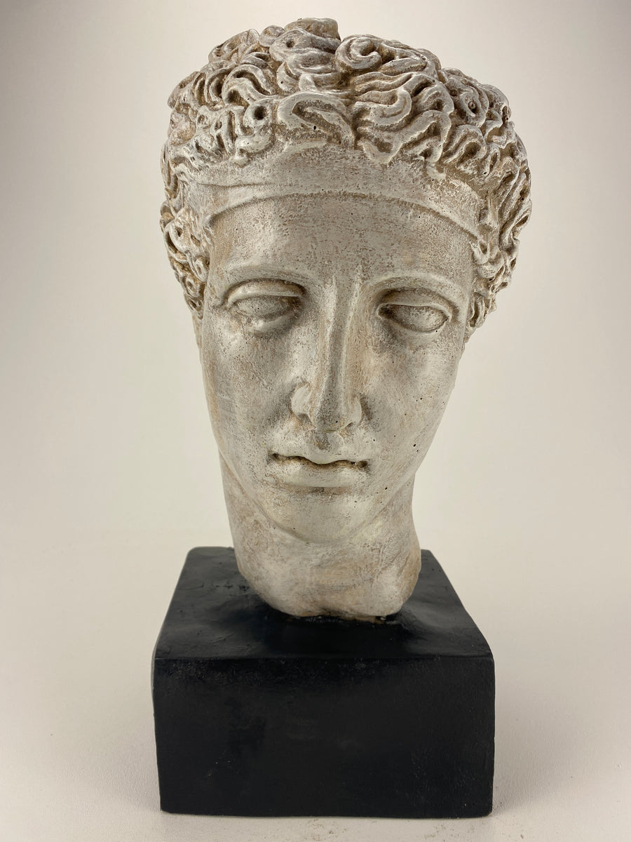 Classical Greco-Roman Female Bust Sculpture in United States