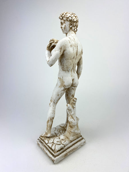 Michelangelo's David Statue