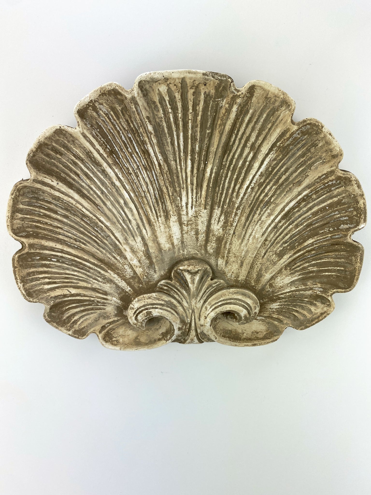 Classical Shell Wall Hanging – The Sculpture Store